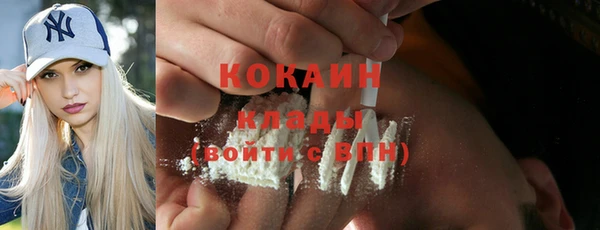 крисы Горнозаводск