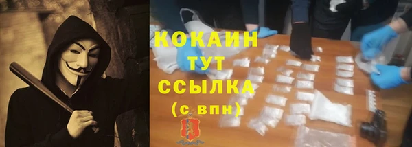 крисы Горнозаводск