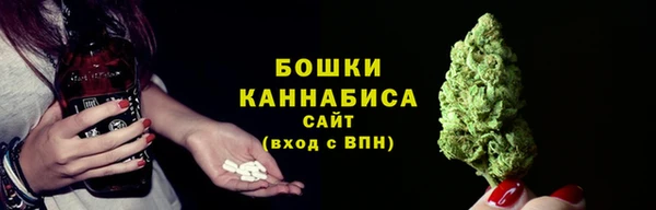крисы Горнозаводск