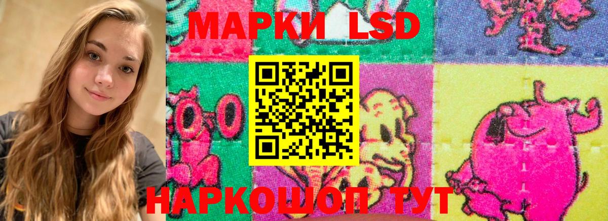 Лсд 25 экстази  ЛСД экстази кислота  ЛСД экстази ecstasy  Вход с VPN  Елец 