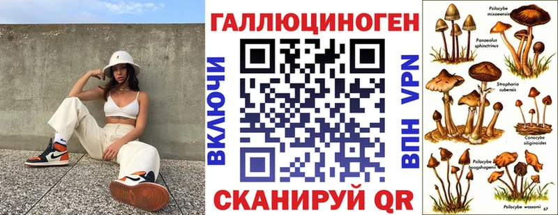 Псилоцибиновые грибы мицелий  Елец 