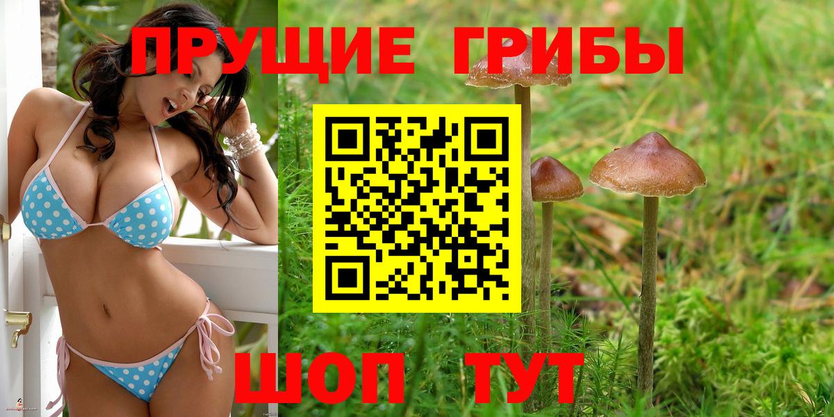 Елец  Псилоцибиновые грибы GOLDEN TEACHER  Псилоцибиновые грибы прущие грибы  Вход с VPN 
