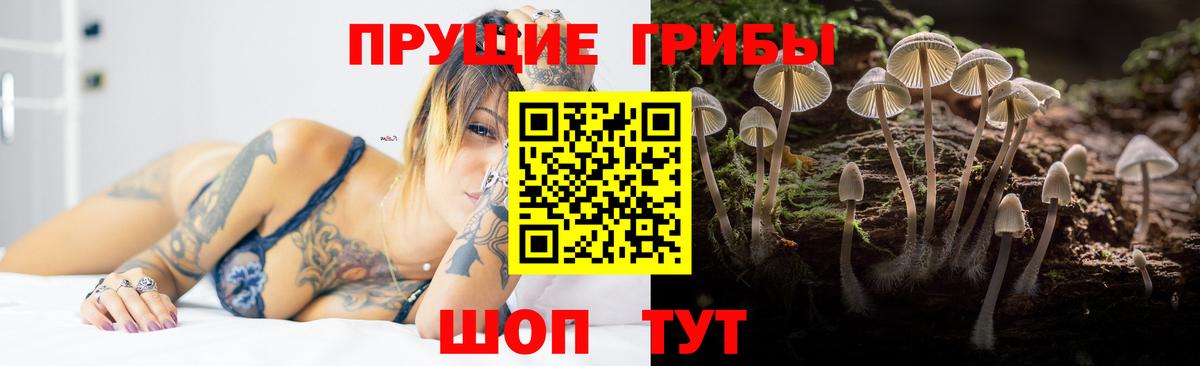 Псилоцибиновые грибы ЛСД Елец
